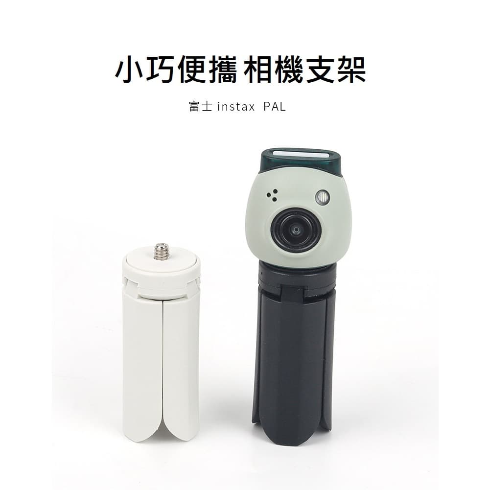 縮圖 3