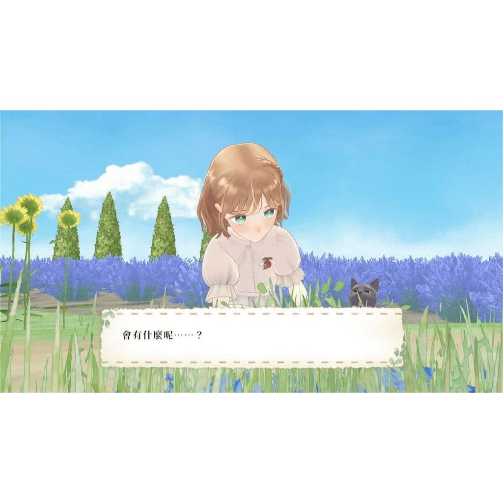 縮圖 5