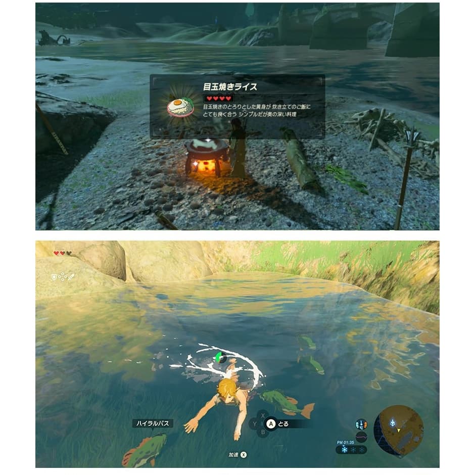 縮圖 5