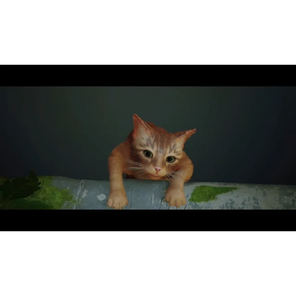 縮圖 3