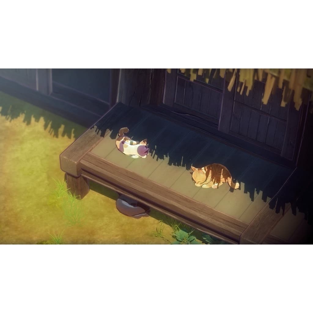 縮圖 4