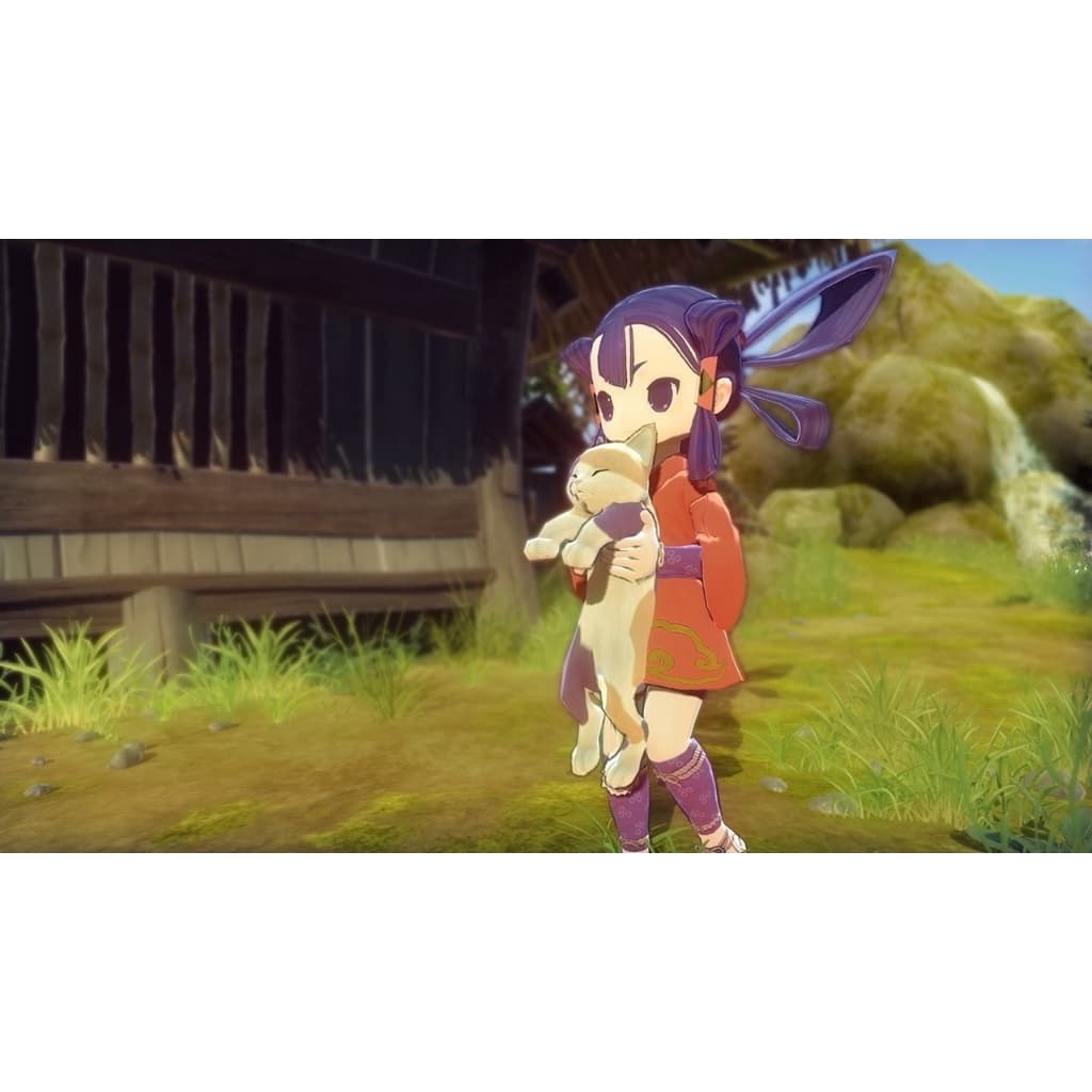 縮圖 5