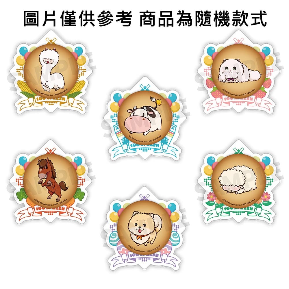 縮圖 4