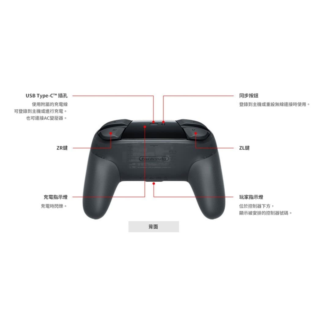 縮圖 5